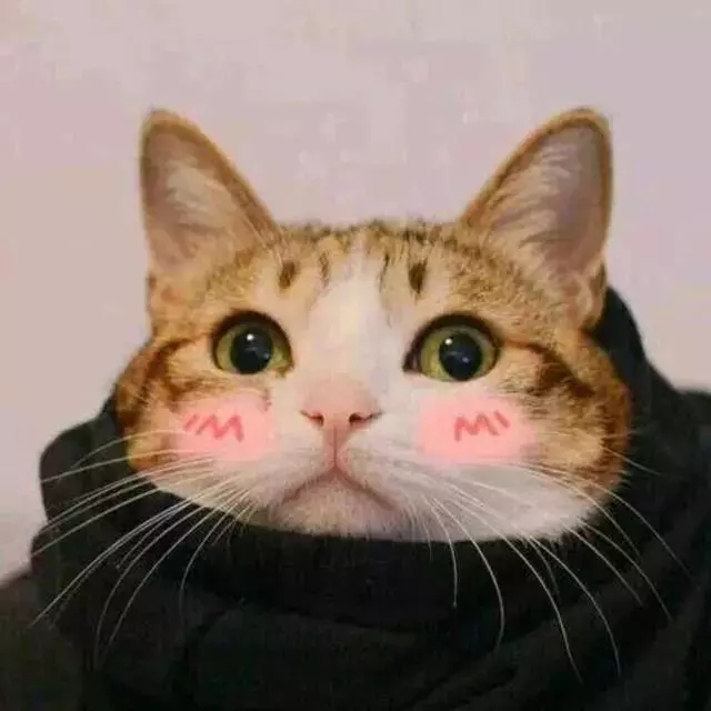哪些微信头像,一看就是好女人?